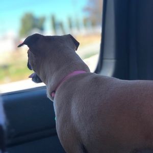 Meet your Posher, Darren